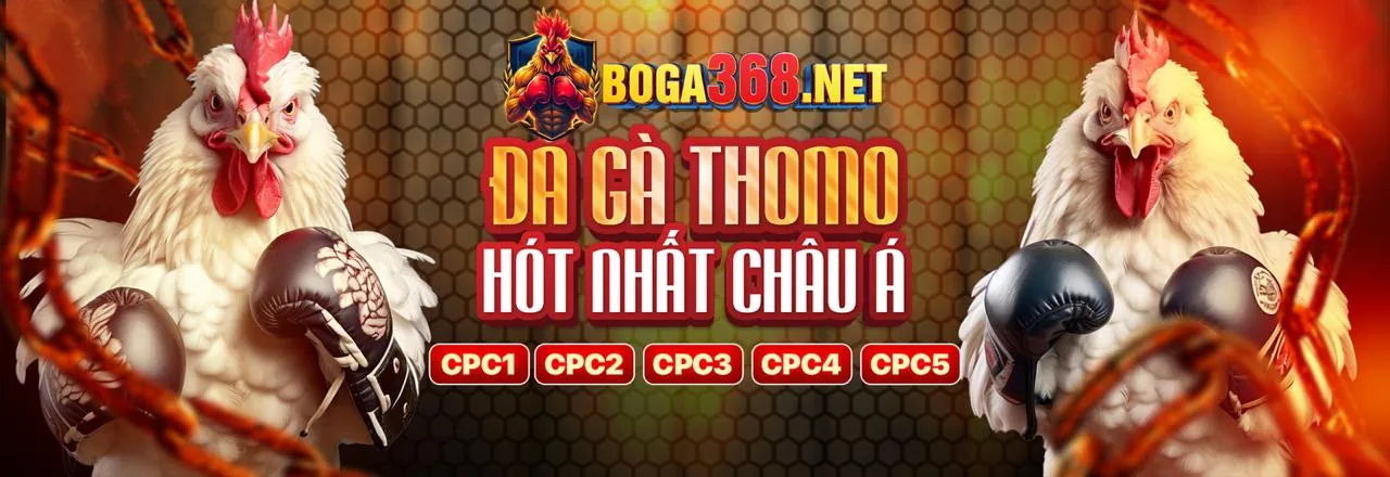 Các công cụ tiếp thị và phân tích hỗ trợ đối tác hi88vip1